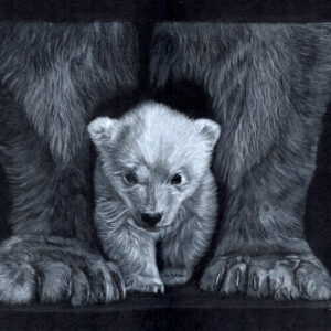 Eisbären "Protected" - Original