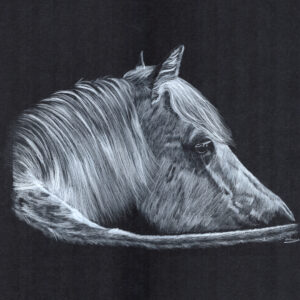 Pferd "White on Black" - Original